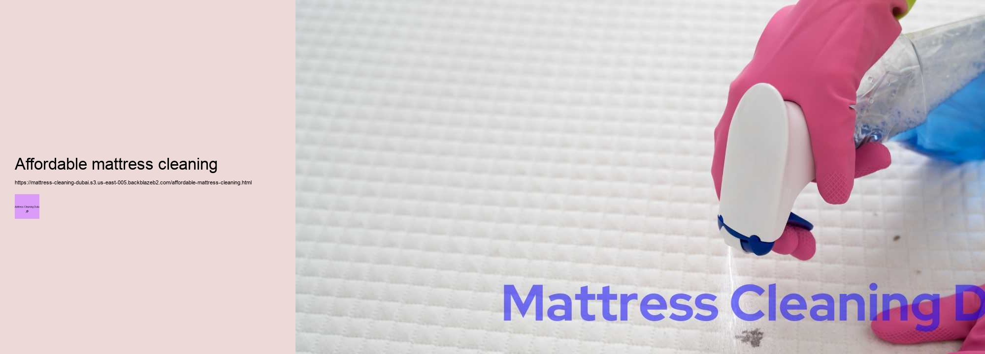 Affordable mattress cleaning
